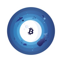 Crypto Aquarium logo, Crypto Aquarium contact details