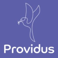 Providus Financial Ltd logo, Providus Financial Ltd contact details