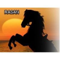 Rasan Global Investments PLC logo, Rasan Global Investments PLC contact details