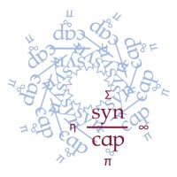 Synesis Capital logo, Synesis Capital contact details