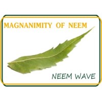 NEEM WAVE EXHIBITIONS LLP logo, NEEM WAVE EXHIBITIONS LLP contact details