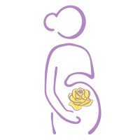 Yellow Rose Midwifery Group logo, Yellow Rose Midwifery Group contact details