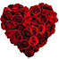 Bay Hill Florist Llc logo, Bay Hill Florist Llc contact details