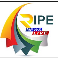 Ripenews logo, Ripenews contact details