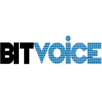 Bitvoice Solutions Private Limited logo, Bitvoice Solutions Private Limited contact details