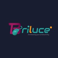 Briluce services logo, Briluce services contact details