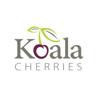 Koala Cherries logo, Koala Cherries contact details