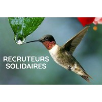 Recruteurs Solidaires logo, Recruteurs Solidaires contact details