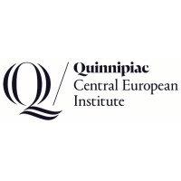 Central European Institute, Student Consulting Team logo, Central European Institute, Student Consulting Team contact details