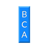 BCA Accountants & Business Advisors logo, BCA Accountants & Business Advisors contact details