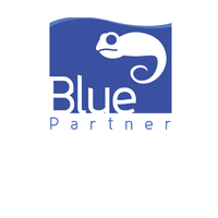 BluePartner logo, BluePartner contact details