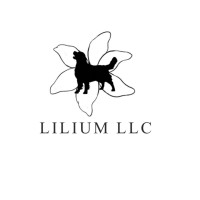 Lilium LLC logo, Lilium LLC contact details