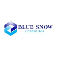 Blue Snow Consulting logo, Blue Snow Consulting contact details