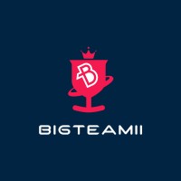 BigTeam11 logo, BigTeam11 contact details