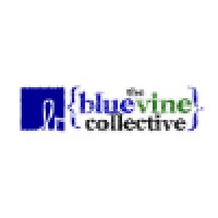 The Bluevine Collective logo, The Bluevine Collective contact details