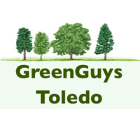 Green Guys Landscaping logo, Green Guys Landscaping contact details