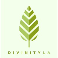 DivinityLA logo, DivinityLA contact details