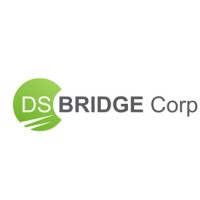 DSBRIDGE Corp logo, DSBRIDGE Corp contact details