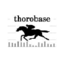 thorobase logo, thorobase contact details