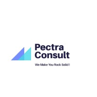 Pectra Consult logo, Pectra Consult contact details