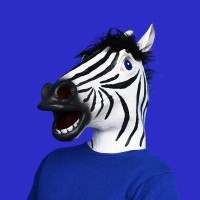 Release The Zebra logo, Release The Zebra contact details