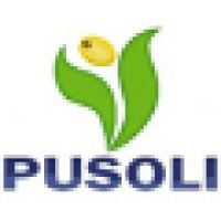 Pusoli Corretora logo, Pusoli Corretora contact details