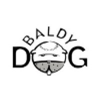 Baldy Dog Search Marketing logo, Baldy Dog Search Marketing contact details