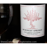 McKinley Springs LLC logo, McKinley Springs LLC contact details