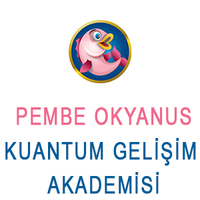 Pembe Okyanus Kuantum Gelişim Akademisi logo, Pembe Okyanus Kuantum Gelişim Akademisi contact details