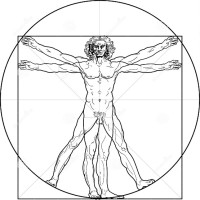 Vitruvian Medical Inc logo, Vitruvian Medical Inc contact details