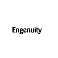 Engenuity Botswana logo, Engenuity Botswana contact details