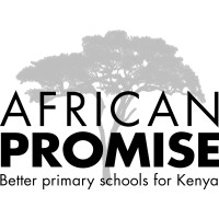 African Promise logo, African Promise contact details