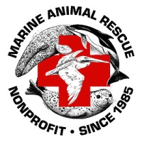 Marine Animal Rescue logo, Marine Animal Rescue contact details