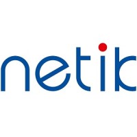 Dr. Netik & Partner GmbH logo, Dr. Netik & Partner GmbH contact details