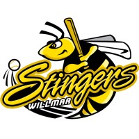 Willmar Stingers logo, Willmar Stingers contact details