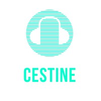 Cestine Music Analytics logo, Cestine Music Analytics contact details