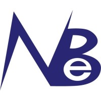 Nanine Business Enterprise Co.Ltd logo, Nanine Business Enterprise Co.Ltd contact details