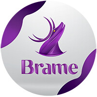 Brame Agency logo, Brame Agency contact details