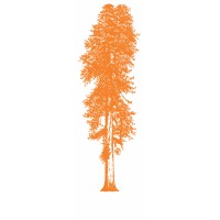 Redwood Orange logo, Redwood Orange contact details