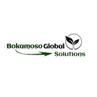 Bokamoso Global Solutions logo, Bokamoso Global Solutions contact details