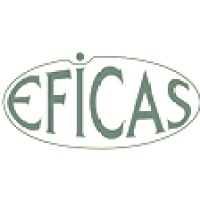 Eficas Danışmanlık ve Yazılım logo, Eficas Danışmanlık ve Yazılım contact details