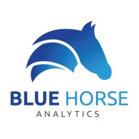 Blue Horse Analytics, LLC logo, Blue Horse Analytics, LLC contact details