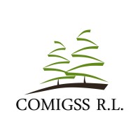 Comigss R.L. logo, Comigss R.L. contact details