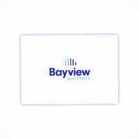 The Bayview Partners logo, The Bayview Partners contact details