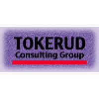 Tokerud Consulting Group logo, Tokerud Consulting Group contact details