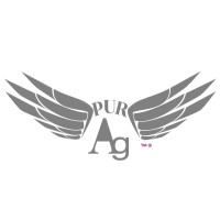 PurSilver Company logo, PurSilver Company contact details