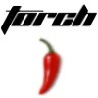 Torch Companies logo, Torch Companies contact details