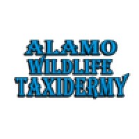 Alamo Wildlife Taxidermy logo, Alamo Wildlife Taxidermy contact details