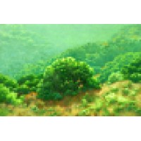 Promessi California Landscape Paintings logo, Promessi California Landscape Paintings contact details