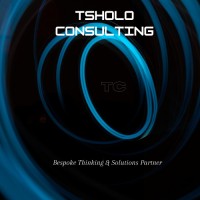 TSHOLO Consulting Services logo, TSHOLO Consulting Services contact details